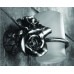 Стакан Art&Max Rose (AM-0914-B) бронза